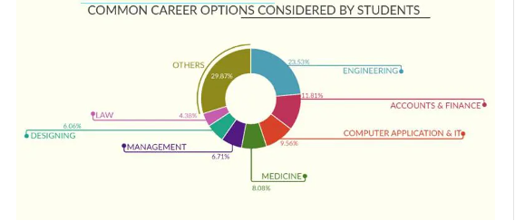 Common career options considered by students